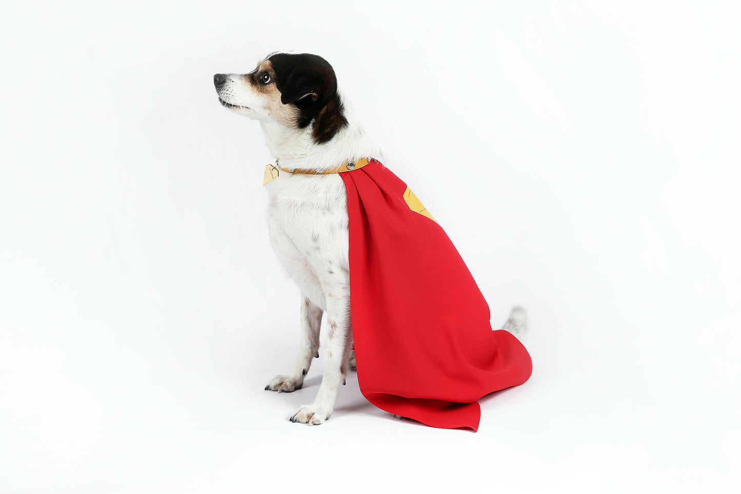 Superman Krypto the Superdog Cosplay Costume | DC Outfit