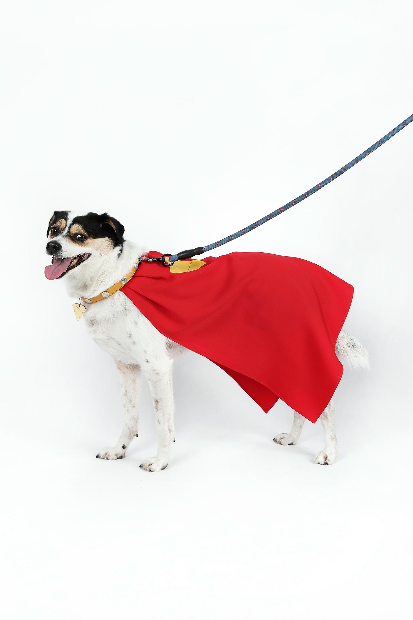 Superman Krypto the Superdog Cosplay Costume | DC Outfit