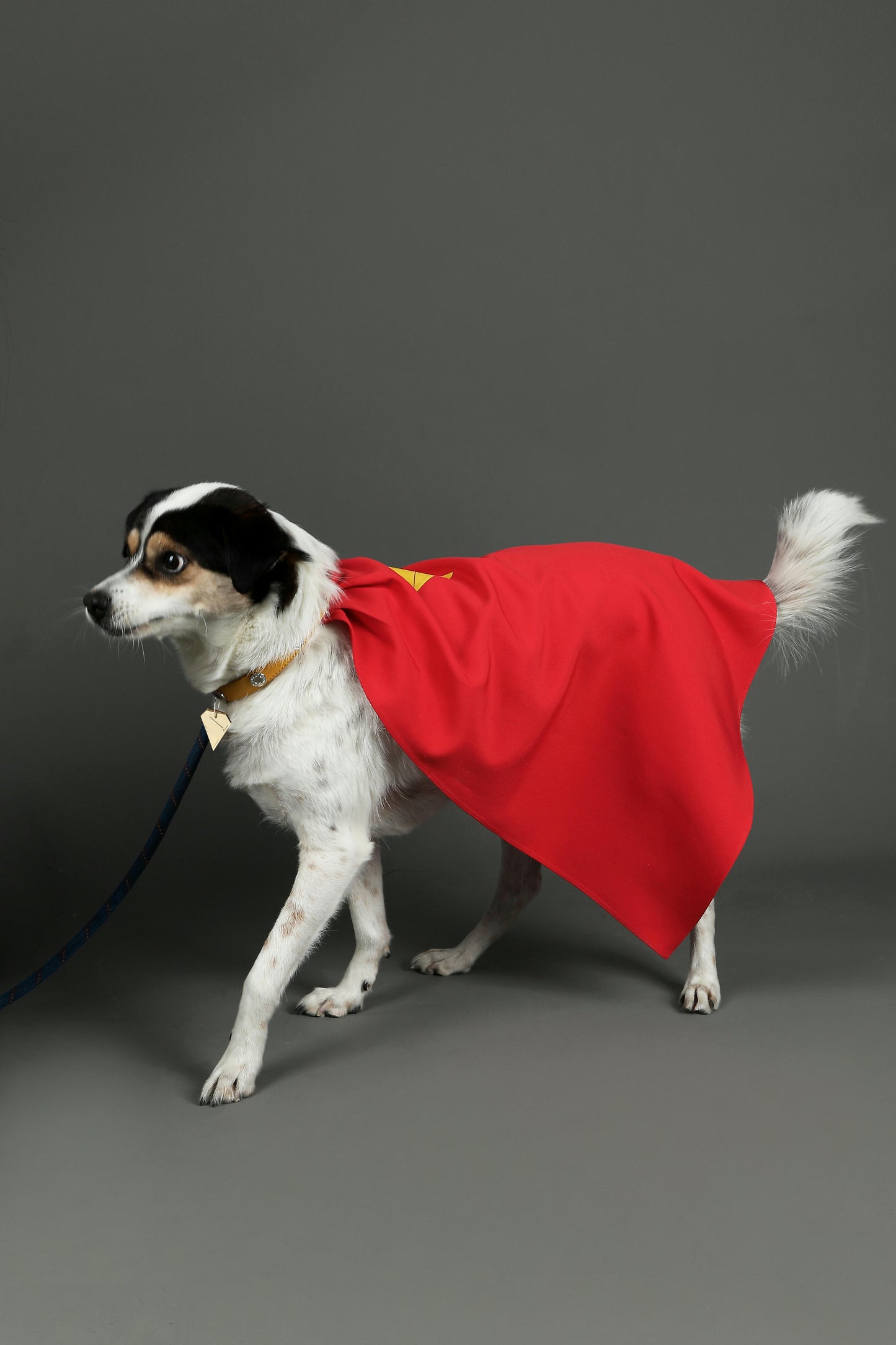 Superman Krypto the Superdog Cosplay Costume | DC Outfit