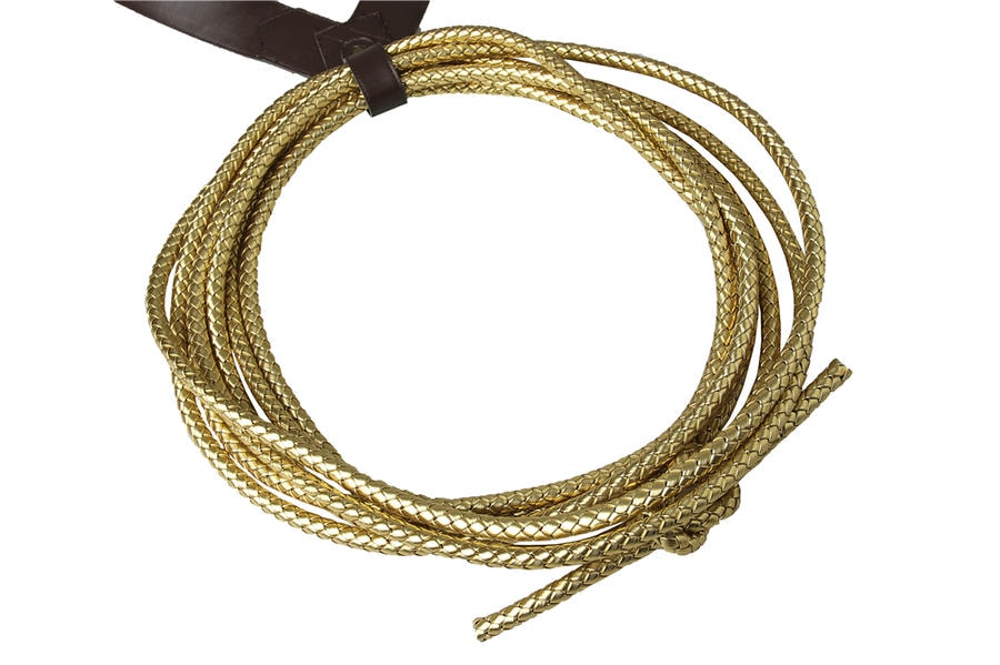 Wonder Woman Dawn of Justice Cosplay Costume | DC Outfit