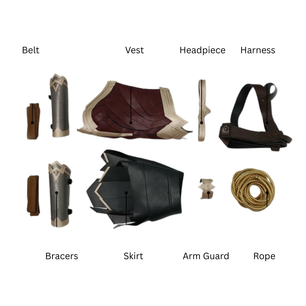 Wonder Woman Dawn of Justice Cosplay Costume | DC Outfit