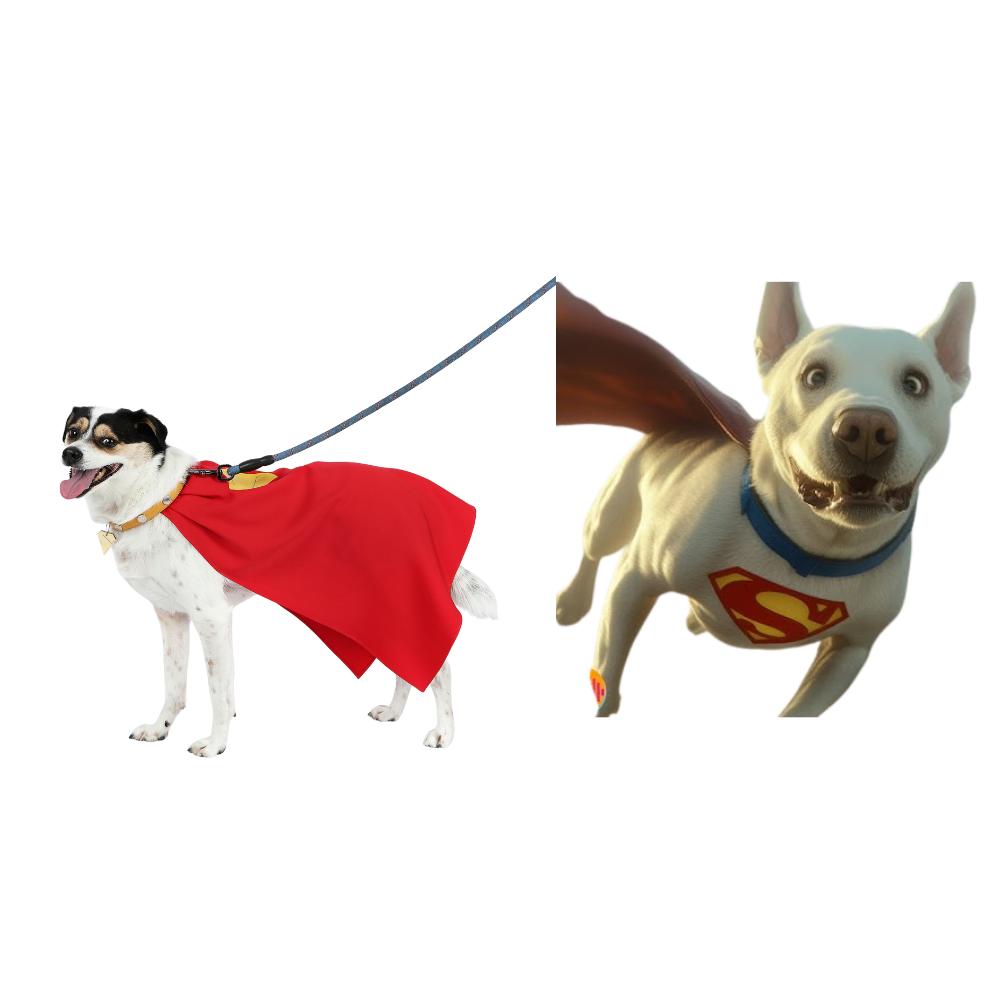 Superman Krypto the Superdog Cosplay Costume | DC Outfit