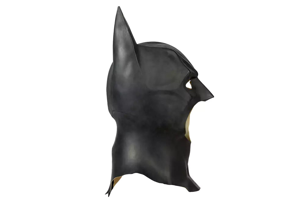 Batman Dawn of Justice Cosplay Costume | DC Outfit