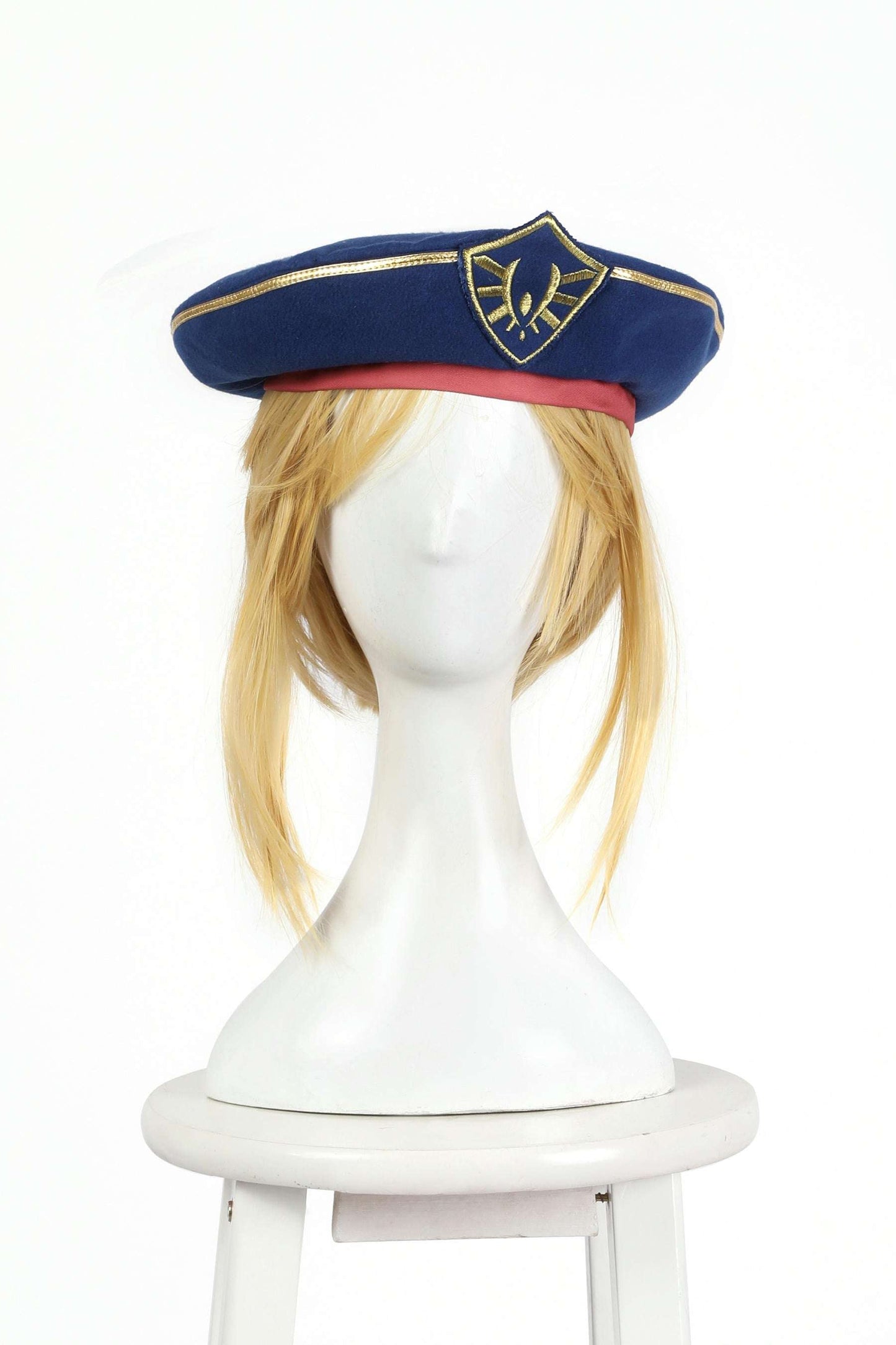 The Legend of Zelda Tears of the Kingdom Link Royal Guard Uniform Complete Cosplay Costume Outfit