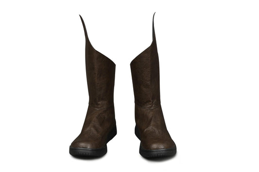 Baldur's Gate 3 Astarion Custom Cosplay Shoes | Gaming Footwear