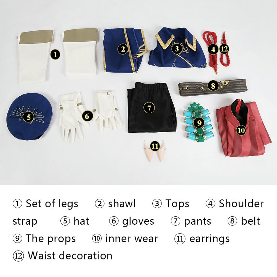 Tears of the Kingdom Link Royal Guard Cosplay Costume | Gaming Outfit
