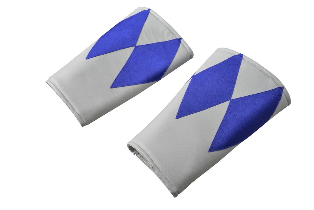 Zyuranger Blue Ranger Cosplay Costume | Superhero Outfit