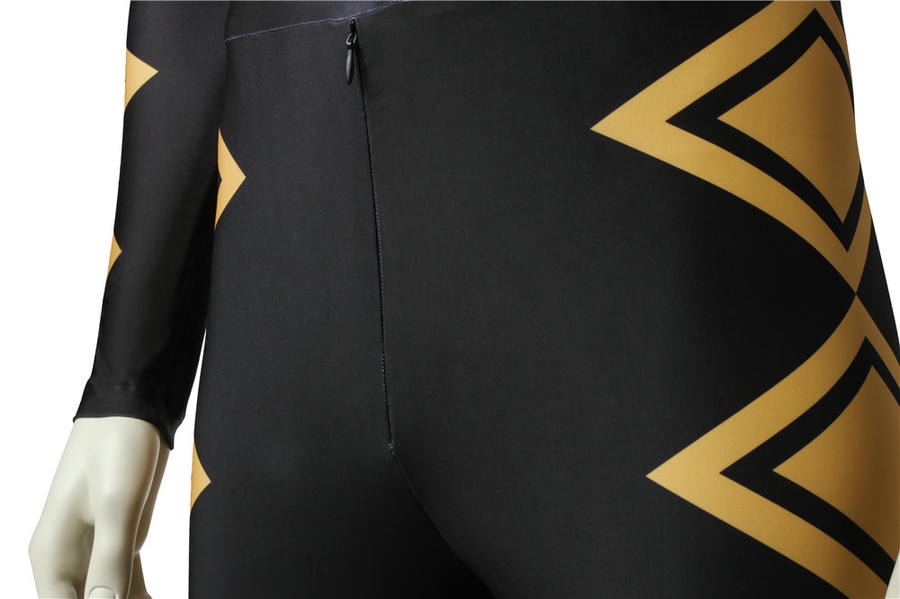 Dino Thunder Black Ranger Cosplay Costume | Superhero Outfit